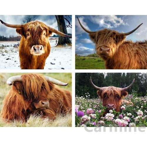 Diamond Painting Cattle 5D Animals Cross Stitch DIY Kit Embroidery Rhinestones Picture Full Round&Square Drill Home Decoration