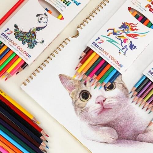 SHIZHUO Painting Supplies