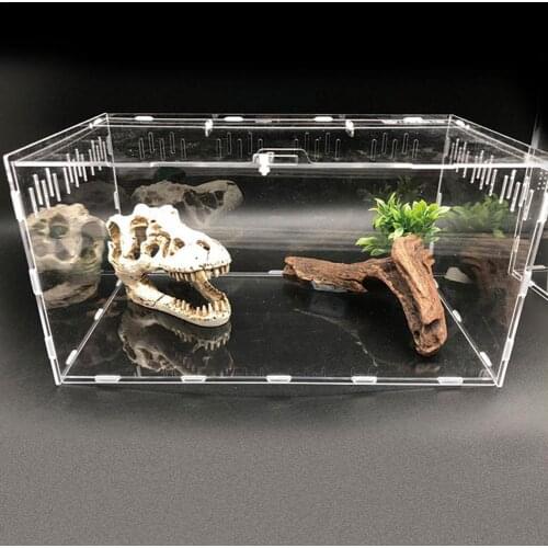 Reptile Tank Insect Spiders Tortoise Lizard Acrylic Transparent Breeding Box Vivarium Lid Reptile Pet Product Terrarium