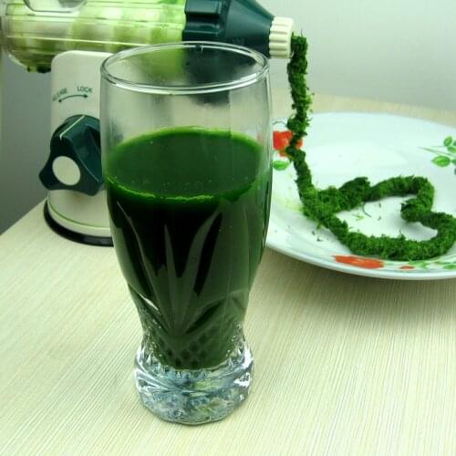 QiufengCheng Electric Fruit Juicers