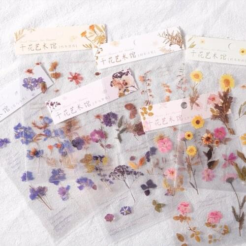 1pc Dry Flower Art Museum Series Plant Creative Hand Account Journal Diary Material DIY Decorative Stickers