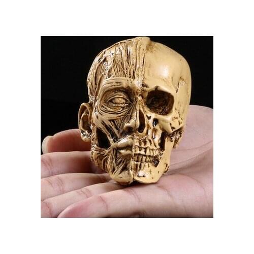 Small Medical human musculoskeletal High simulation human skull with high precision personalized ornaments resin muscle skull