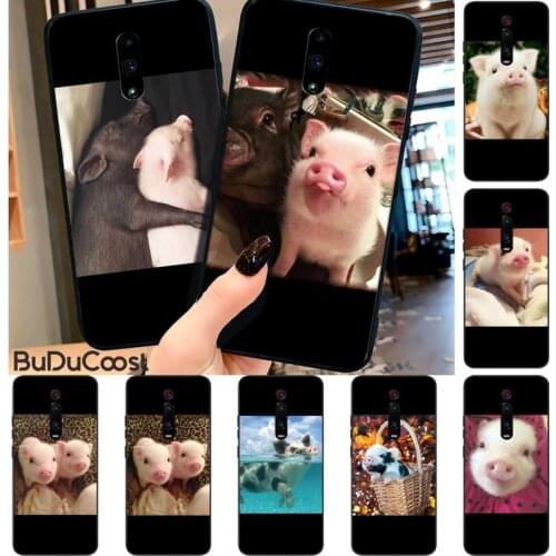 Super cute Pigs photos Phone Case for RedMi 5 5plus 6 Pro 6A S2 4X GO 7A 8A 7 8 9 K20 case