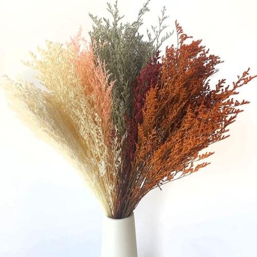 Natural Fresh Dried Preserved Flowers Gypsophila Paniculata,Babys Breath Flower Bouquets Home Wedding Decoration Props Photo