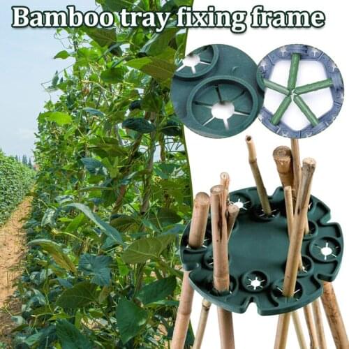 Bamboo Cane Holder Climbing Frame Vines Protection Stand Tray Plant Support Garden Accessories For Plants SCVD889