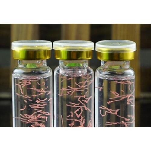 10ml Astaxanthin stoste dispels pouch dark rim of eye and compact skin roe essence 5 bottles