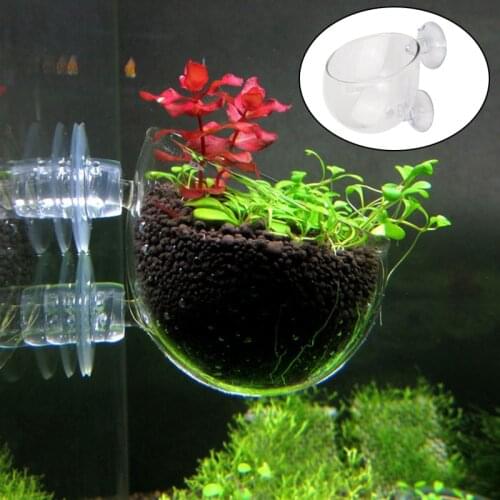 Mini Glass Aquarium Water Plant Coral Potted Cylinder Cup Fish Tank Grass Plant Bonsai Pot for Aquarium Lanscape Decoration