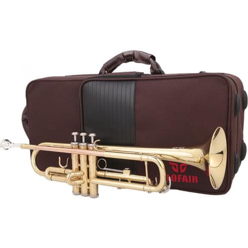 FLOFAIR Brass Tube Phosphor Copper Blow Tube Alto Beginner Band Flat Ba Trumpet Instrument FTR-601 Free Box
