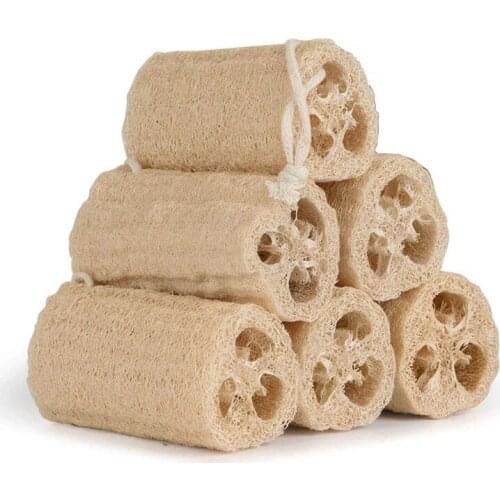 10Pcs Natural Loofah Organic Shower Loofah Spa Exfoliating Bath Body Scrubber for Removing Dead Skin, No Bleaching
