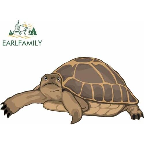 EARLFAMILY 13cm x 6.2cm For Turtle Waterproof Car Stickers Vinyl Material Decal Car Accessories Sunscreen For JDM SUV RV