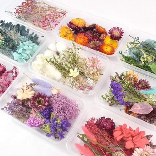 1 Box Real Dried Flower Dry Plants For fall decorations Epoxy Resin Pendant Necklace Jewelry Making Craft decor DIY Accessories