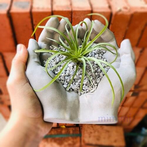 3D Concrete Silicone Mold Creative Palm Pallet Shape Cement Flower Pot Mold Jewelry Ring Pallet Mold