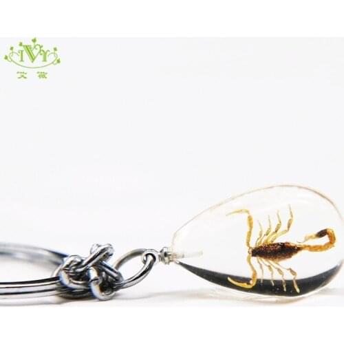 Transparent Crystal Scorpion Key Chain Mini Style Real Insect Fashion Unisex Key Rings Souvenir Gifts for Man Holder Bag Pendant