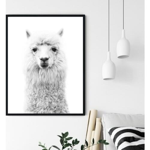 Llama Print Alpaca Poster Black and White Boho Decor Farm Animal Photography Nursery Wall Art Canvas Painting Picture Decoration