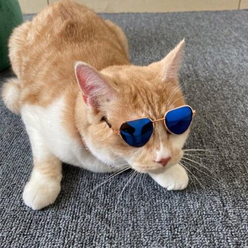 Lovely Cute Pet Cat Glasses Dog Glasses Pet Products For Little Dog Cat Eye-wear Dog Sunglasses Photos Pet Accessories