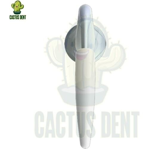 EMS Woodpecker Scaler Tips Cavitron Dental Piezo Scaler Ultrasonic Tips Insert P90 for Periodontics Implant Cleaning