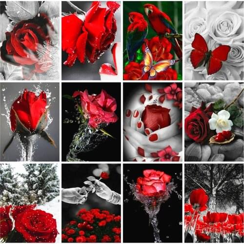 Huacan Full Square Diamond Painting Black And Red Rose 5D DIY Diamond Embroidery Flower Mosaic Wall Art