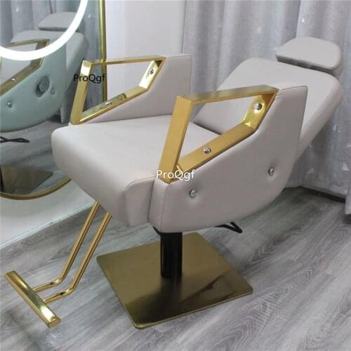 Prodgf 1Pcs A Set ins European Series Salon Chair