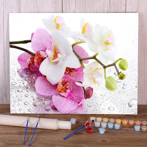 Flower Orchid Paint By Numbers Package Oil Paints 50*70 Canvas Painting Decorative Paintings For Kids Handiwork Art