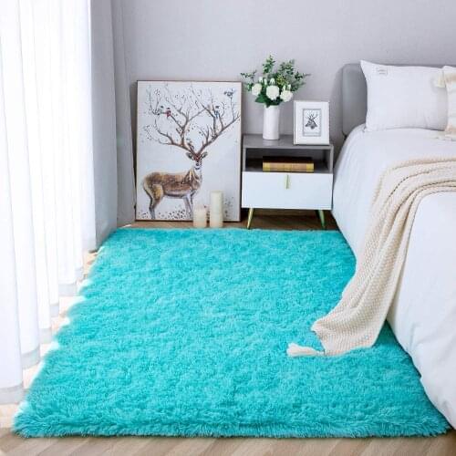Super Soft Fluffy Modern Rug Home Decor Comfy Accent Carpet Tufted Shaggy Kid Friendly Floor Mat for Playroom Living Room Carpet