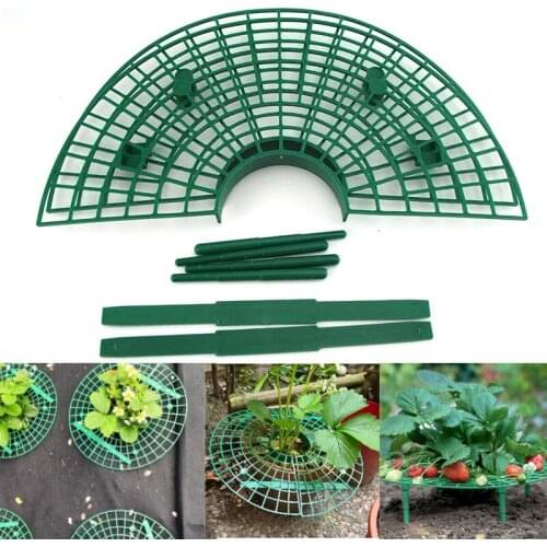 5PCS Strawberry plant Stand Frame Holder Balcony Planting Rack Fruit Support Plant Flower Climbing Vine Pillar Gardening Stand