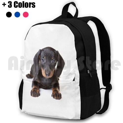 Charming Cute Dachshund Puppy Dog Outdoor Hiking Backpack Waterproof Camping Travel Dog Puppy Cute Funny Charming Playful