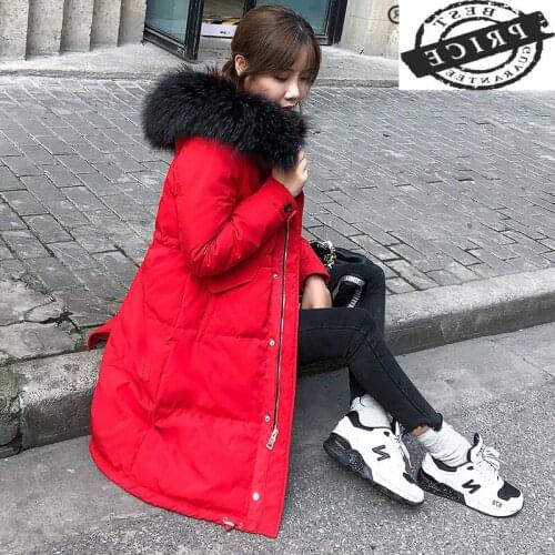 Winter Duck Down Jacket Women Long Down Coat Female Jacket Clothes Ladies Large Raccoon Fur Hooded Warm Coat Hiver LW1a25