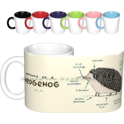 Anatomy Of A Hedgehog Ceramic Mugs Coffee Cups Milk Tea Mug Anatomy Hedgehog Hedge Hog Hedgepig Pig Spikes Spines Quill British