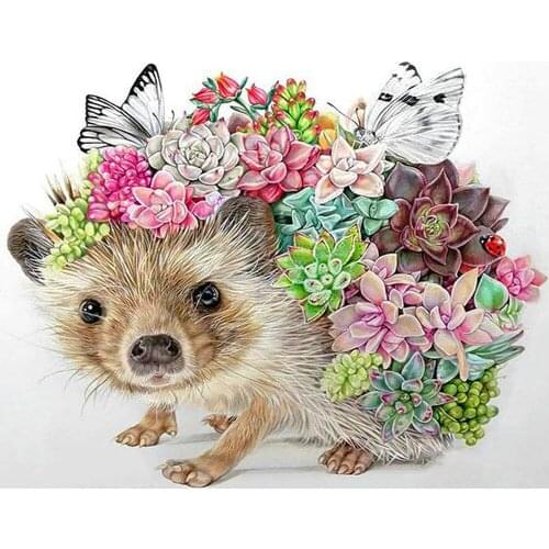 《Flower hedgehog》 picture painting by numbers home decor birthday present quadros decorativos
