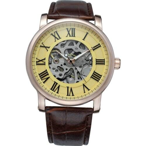 New Forsining Skeleton Watch Transparent Roman Number Watches Men Luxury Brand Mechanical Men Watch Steampunk Wristwatches