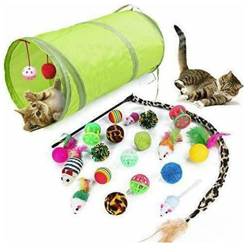 2021 Hipidog Cat Toy Mouse Fish Ball 21Pcs Pet Toys Cat Toys Interactive Feather Wand Cat Toy Set