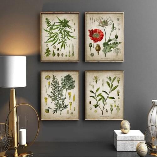 Vintage Botanical Posters Poppy Coca Recreational Drug Plant Wall Art Canvas Prints Pharmacy Decoration Painting Medical Gift