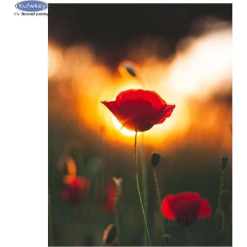 Diy 5d mosaic full embroidery puzzle Poppy flower painting with diamonds square/round drill handicraft hobby gift wall picture