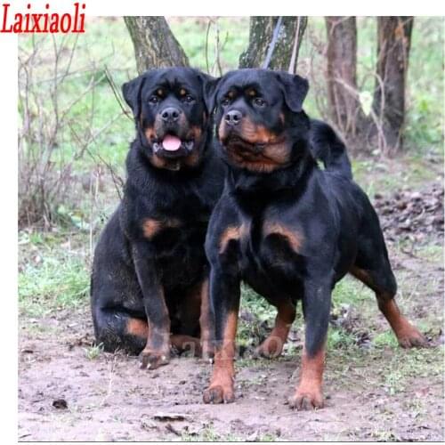 New Rottweiler arrival DIY Diamond Painting Dogs Cute Pet Cross Stitch puppies pattern beads Embroidery kits Mosaic Decor Craft