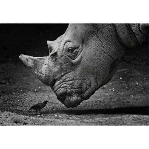 Full square 5d diamond painting rhino bird cross stitch 3d round diamond mosaic black gray pattern animal diamond art decoration