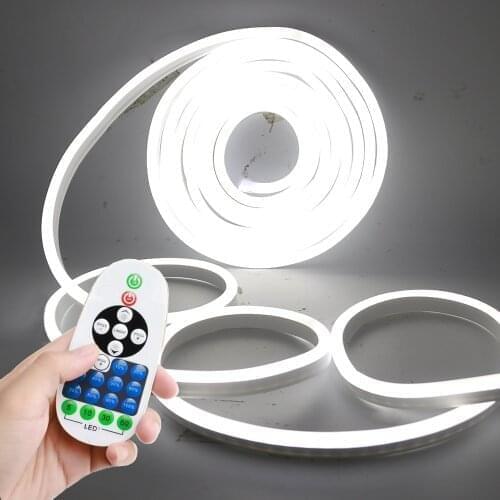 Led Neon Light Strip Dimmable 2835 120LED/m 220V 110V 23key Dimmer Power Kit Neon Lamp 7 Colors Waterproof Flexible Rope Lights
