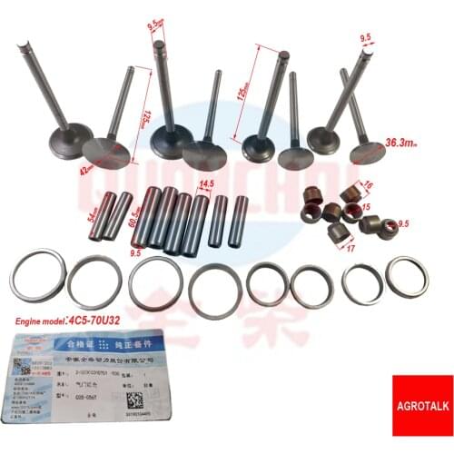 Set of intake and exhaust valves kit for Quanchai engine 4C5-70U32 , part number