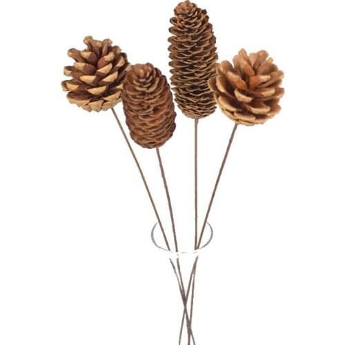 Natural Dried Flowers Hardcore Pine Cone Shooting Props Home Furnishings Manual Production