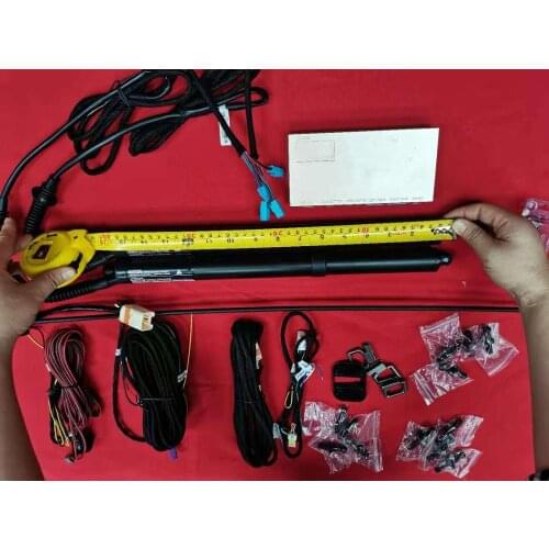 THE ITEM FOR ITALIAN DOMENICO