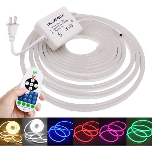 220V 110V Led Neon Strip Light Dimmable US EU UK 23key Dimmer Kit Neon Lamp 2835 120LED/m Waterproof Flexible Led Rope Lights