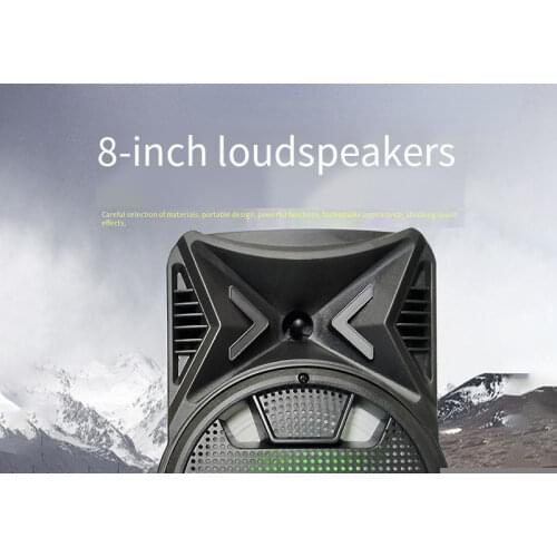 8 Inches Portable Speaker Bluetooth-compatible Music Bass Speaker Subwoofer Outdoor Wireless Loudspeaker Support TF FM Radio Aux