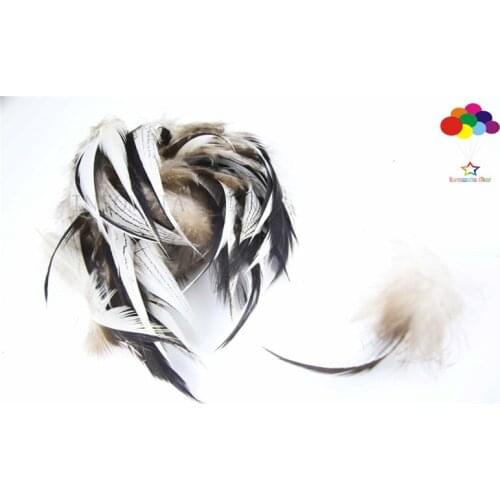 10pcs 100% natural premium pheasant feather 5-10cm/2-4inch white black tail beautiful for Diy carnival costume mask headdress