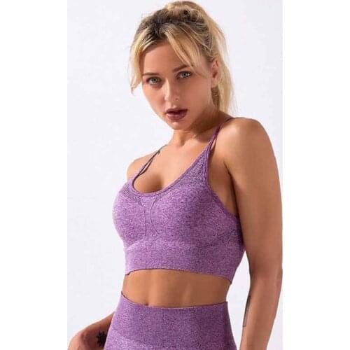 Popular Seamless Yoga Top, Shockproof Gathered Running Sports Bra And Padded Push Up Fitness Vest For Women