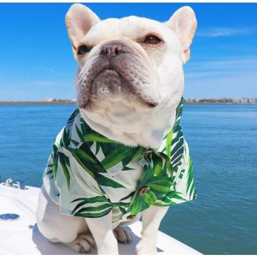 Summer Fashion Printed Pet Clothes For Dogs Floral Beach Shirt Jackets Dog Coat Puppy Costume Cat Spring Pets Clothing Green