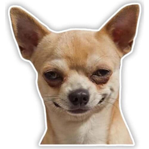 S50437# Various Sizes Personality PVC Decal Chihuahua Dog Waterproof Car Sticker on Motorcycle Laptop Decorative