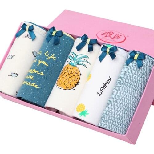 LANGSHA 5Pieces New Panties Women Sexy Cotton Womens Lingerie Seamless Female Briefs Comfort Female Underwear Girls Intimates