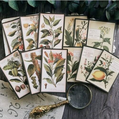 12pcs DIY Handbook Vintage Retro Plant English Atlas TN Handbook Decoration Material Fern Album Diary Sticker