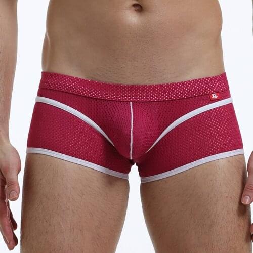 Brand Underwear Boxer Men Breathable Mesh Mens Boxers Male Underpants Sexy Panties Cotton Mens Bodysuit Trunks Pant