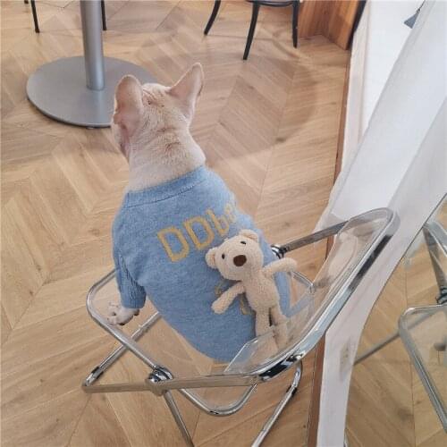 Dog clothes Blue Bear dog coat