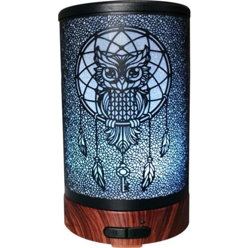 Noiseless Humidifier Mist Maker Owl Iron Essential oil diffuser 100ML Ultrasonic fragrance diffuser Colorful Night Light For Kid